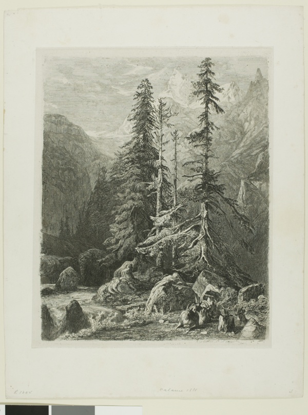 Alpine Landscape
