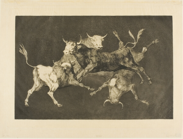 Fool’s Folly, from Disparates