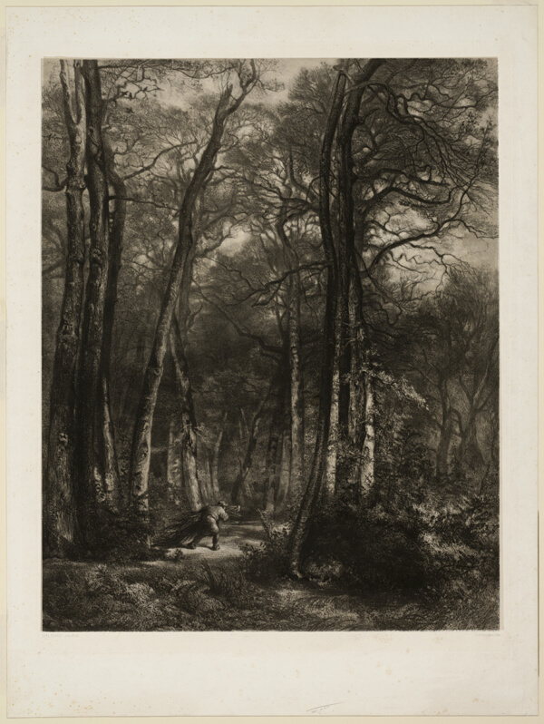 In the Forest