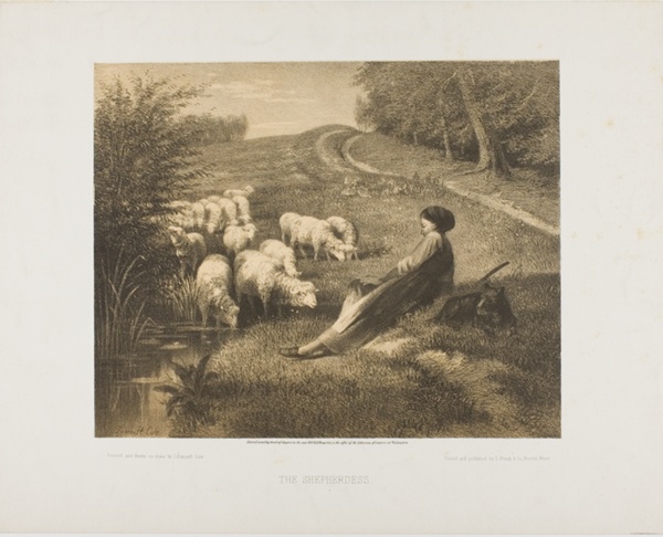 The Shepherdess