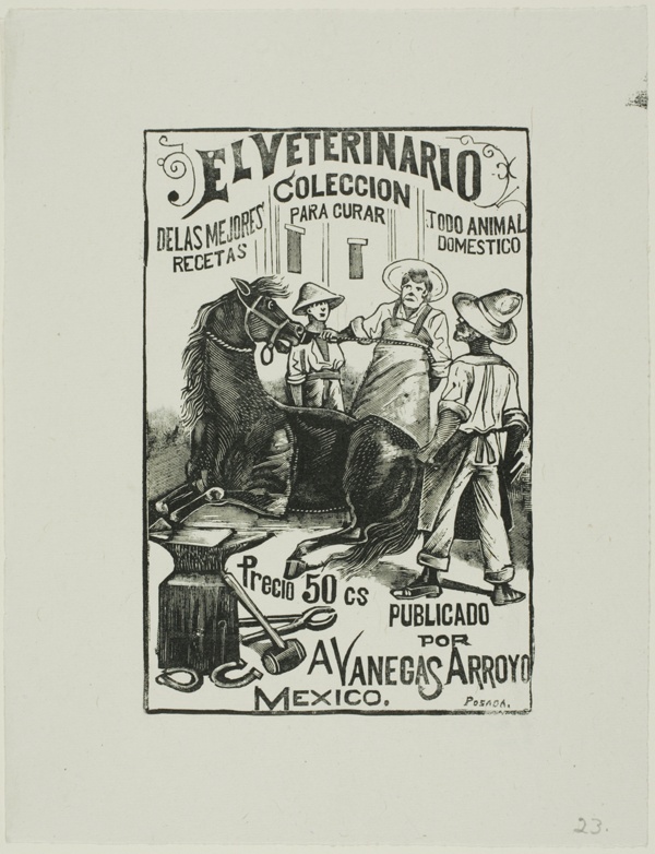 The Veterinarian