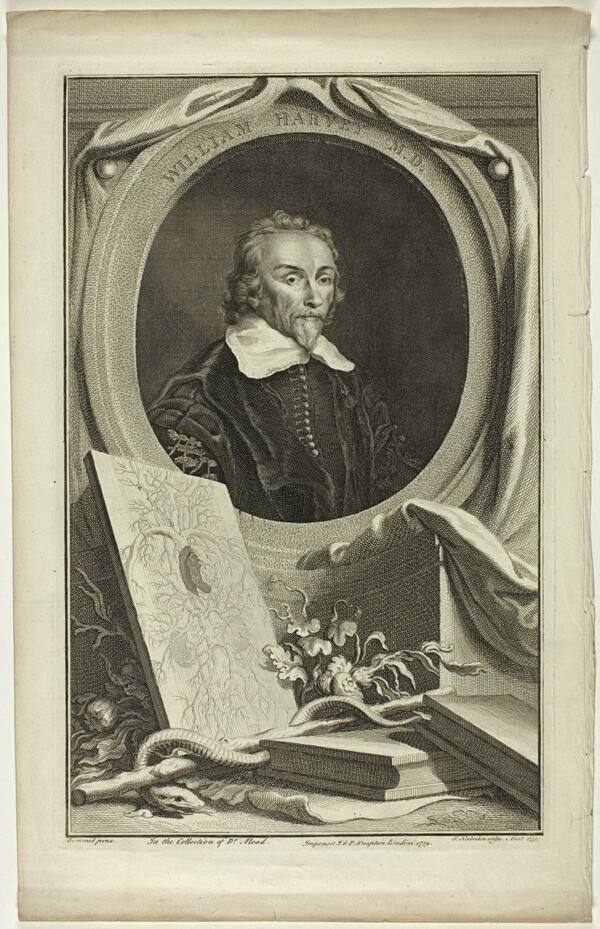 William Harvey, M.D.