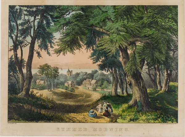 Summer Morning