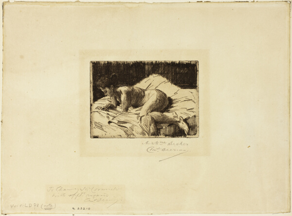 Nude Lying Down
