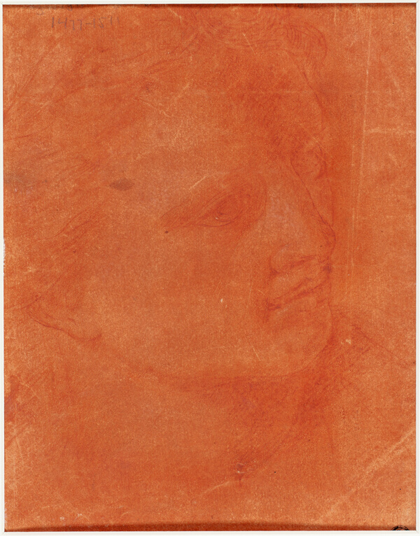 Head in Three-Quarter Profile (recto); Standing Young Man Pointing Left and Sketches of Feet, Arm (verso)