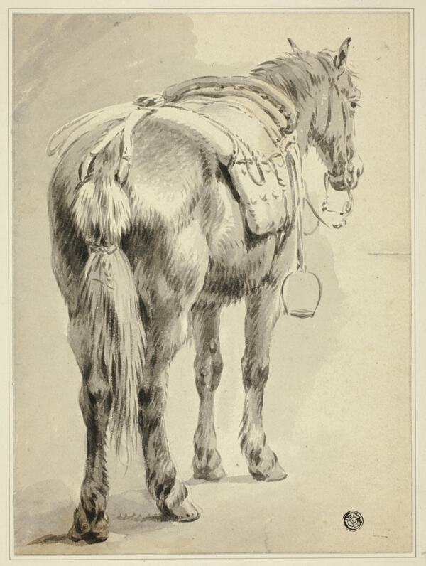 Saddle Horse