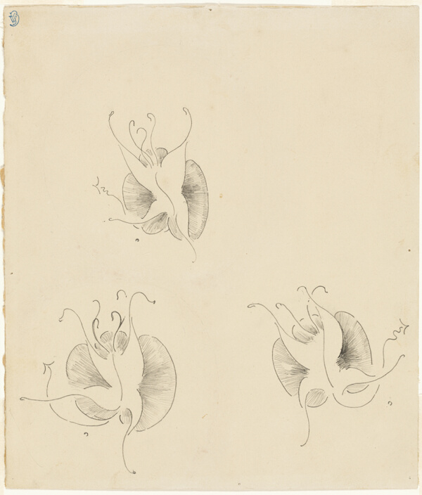 Three Butterflies