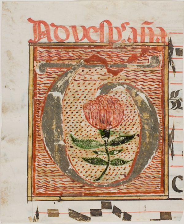 Decorated Initial 