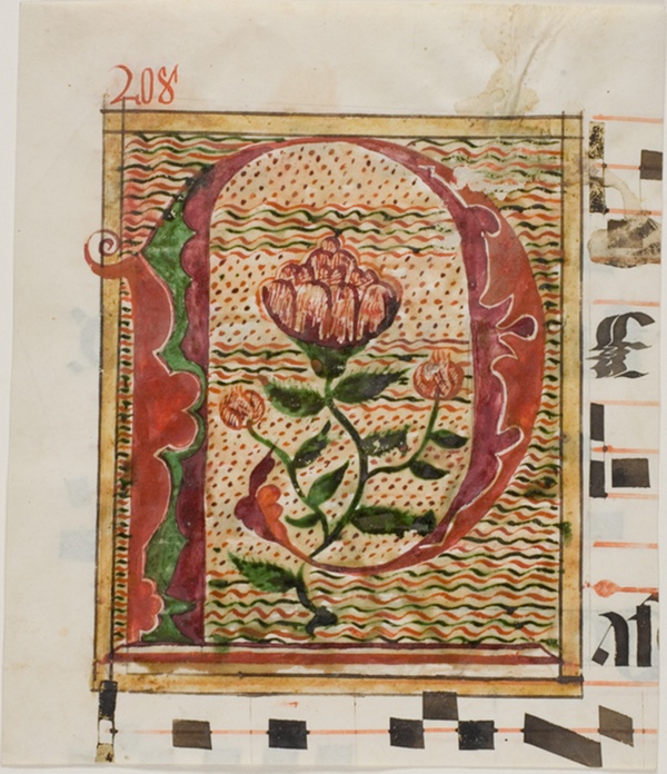 Decorated Initial 