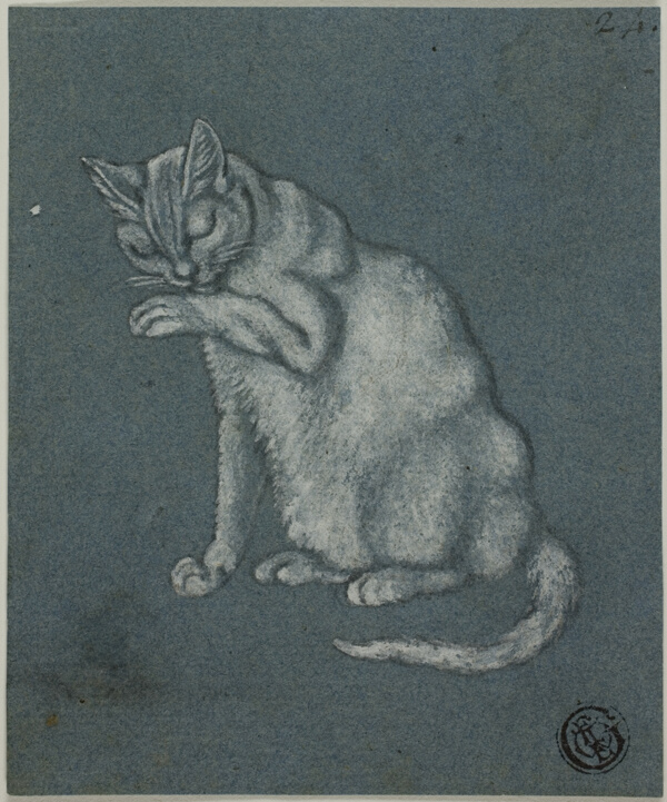 Cat Licking Paw