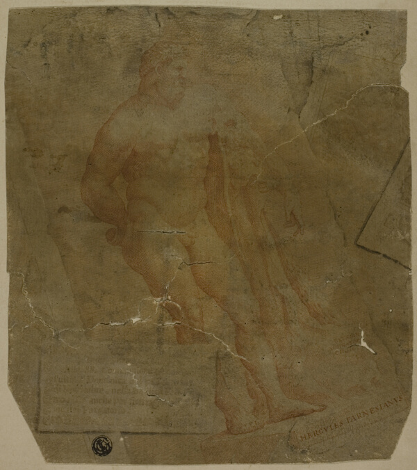 Hercules