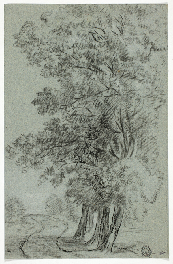 Road Past Trees