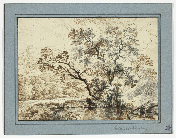 Pond in a Wooded Landscape