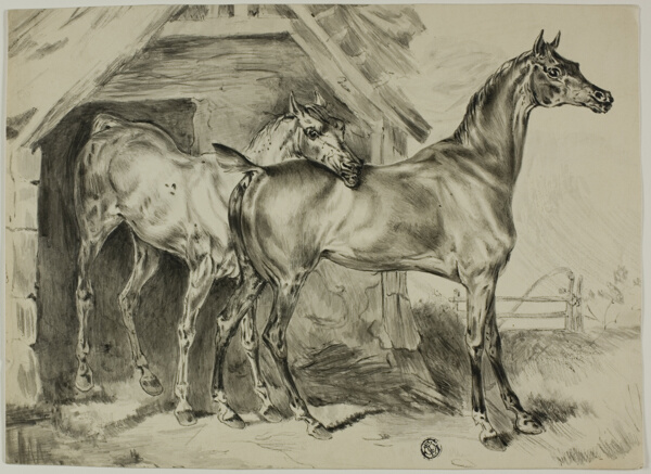 Standing Mare and Colt