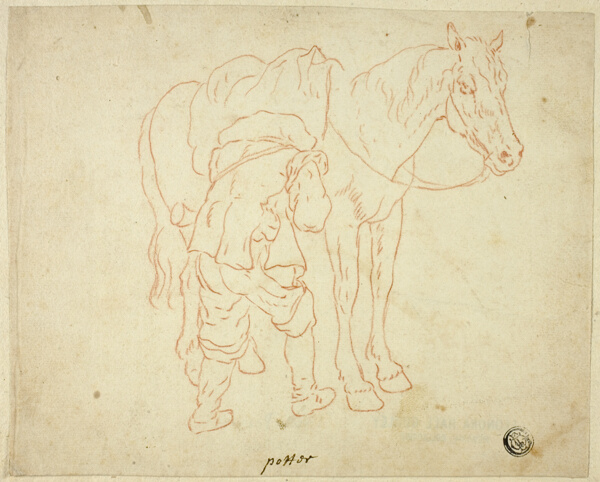 Man Adjusting Saddle on Horse