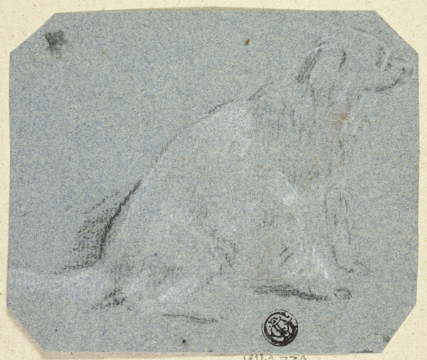Seated Dog in Profile