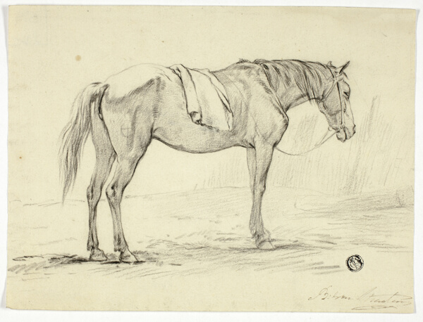 Standing Horse