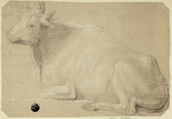 Cow Lying on Haunches