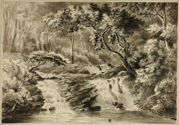 Waterfalls and Woods