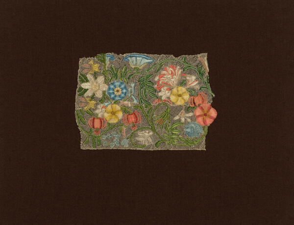 Fragment (Border)