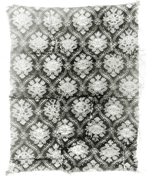 Fragment (Dress Fabric)