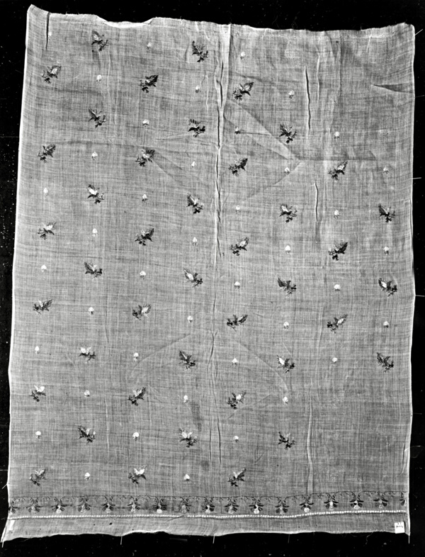 Panel from a Skirt