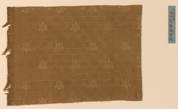 Fragment