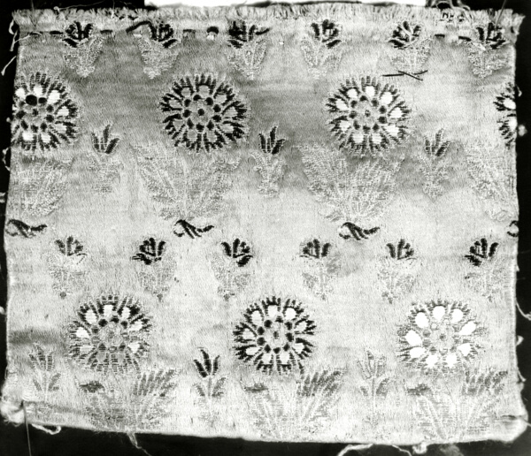 Fragment (Dress Fabric)