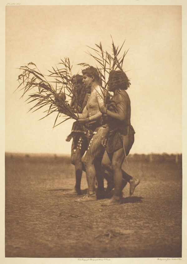 Arikara Medicine Ceremony - the Ducks