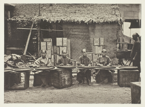 Tea-Picking in Canton