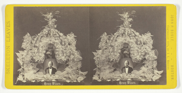 Henry Wilson, from the series 