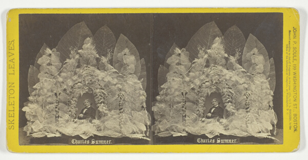 Charles Sumner, from the series 