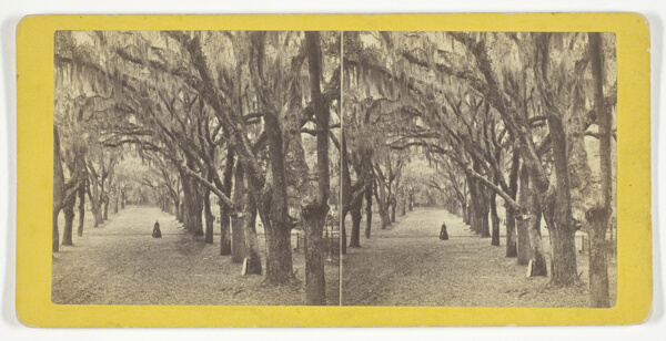 Bonaventure